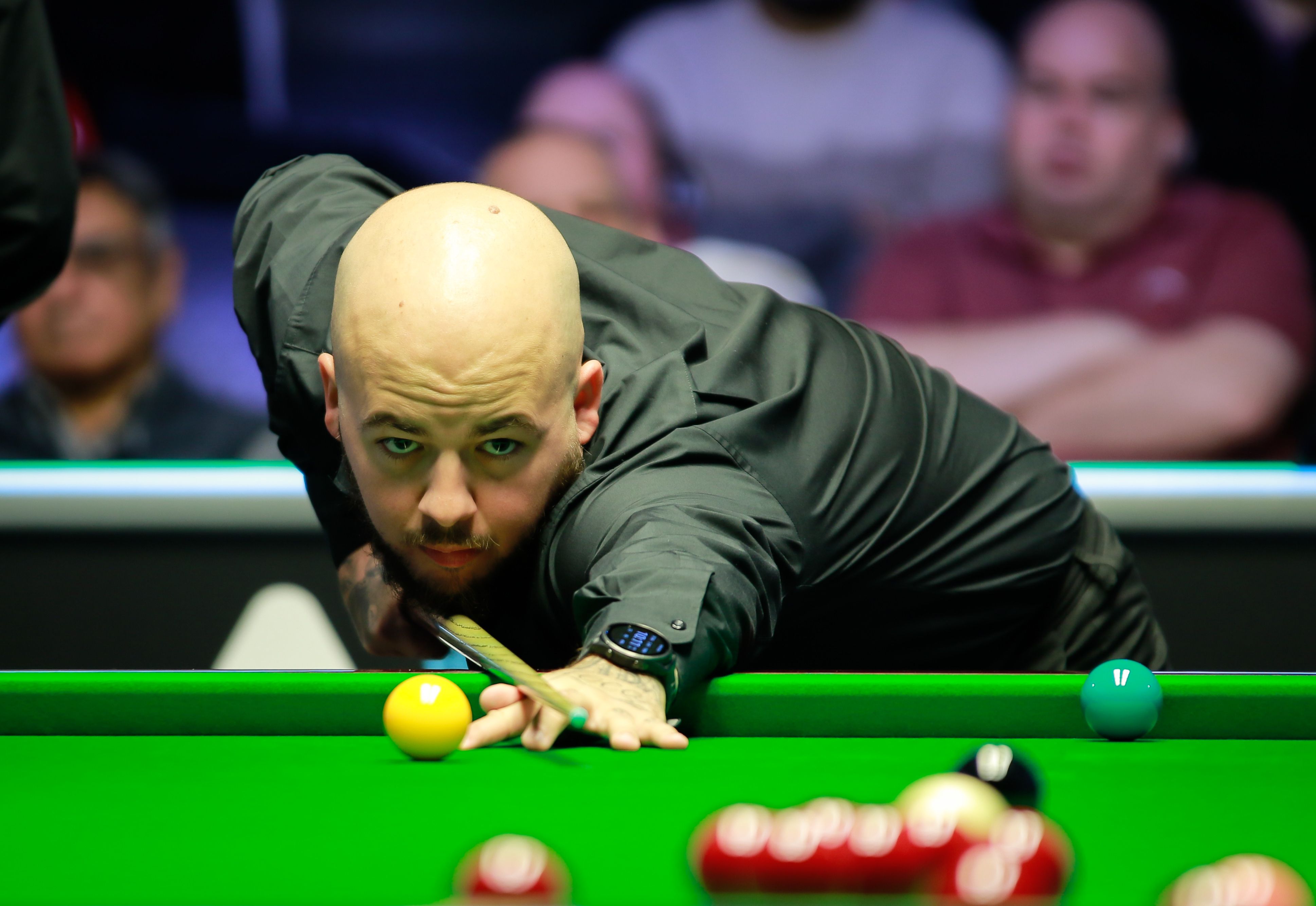 成为高频词 成为高频词