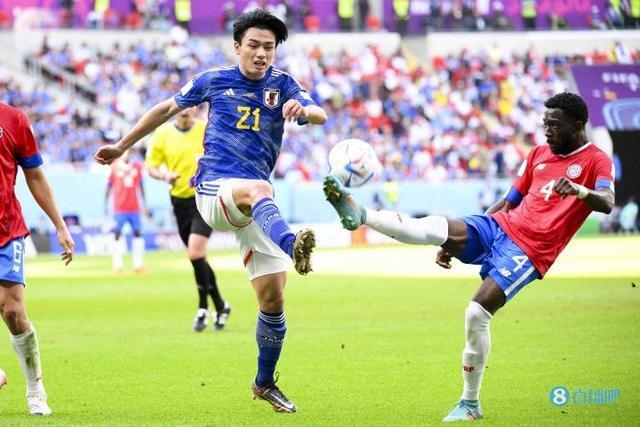 展开探讨 展开探讨